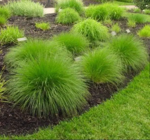Landscaping photo 5