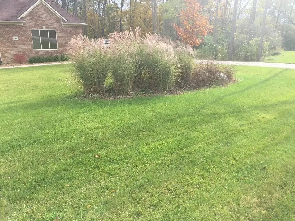 Landscaping photo 8
