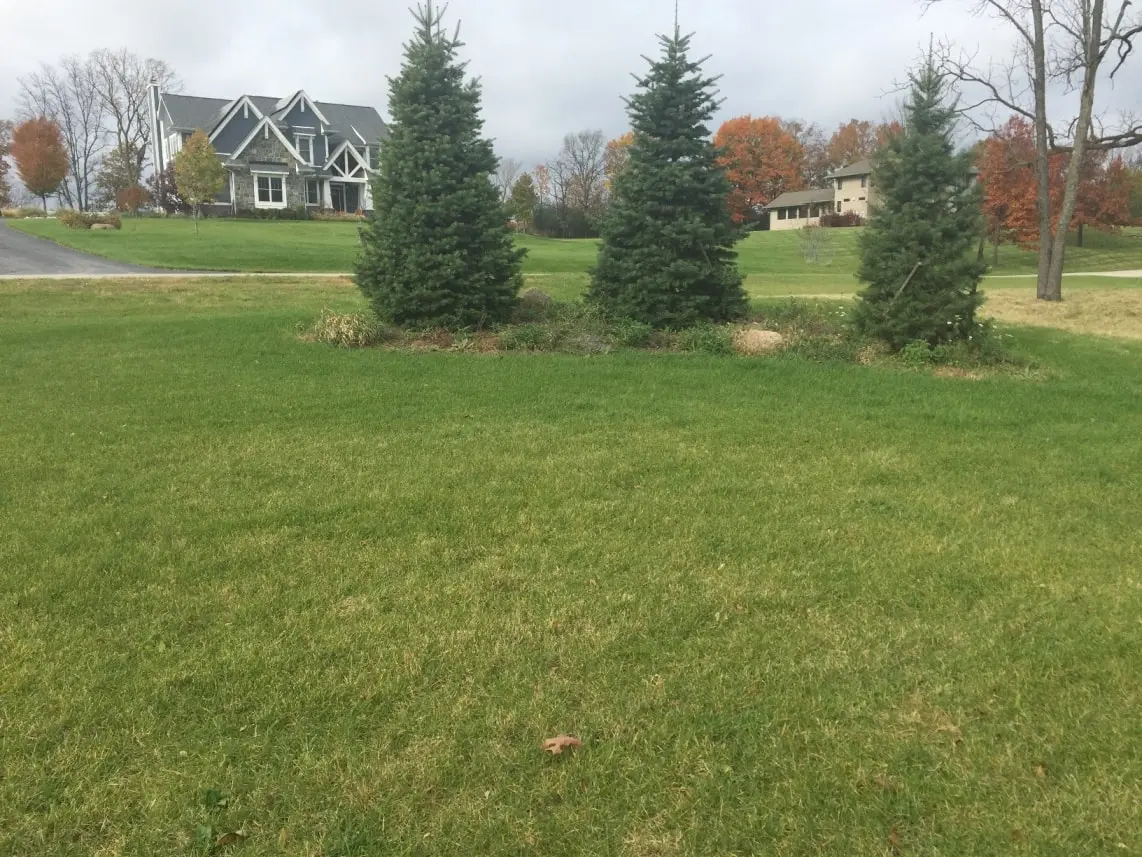 Landscaping photo 9