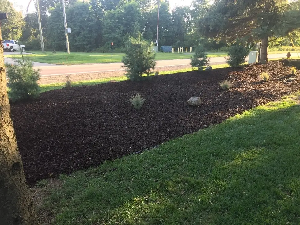 Landscaping photo 14