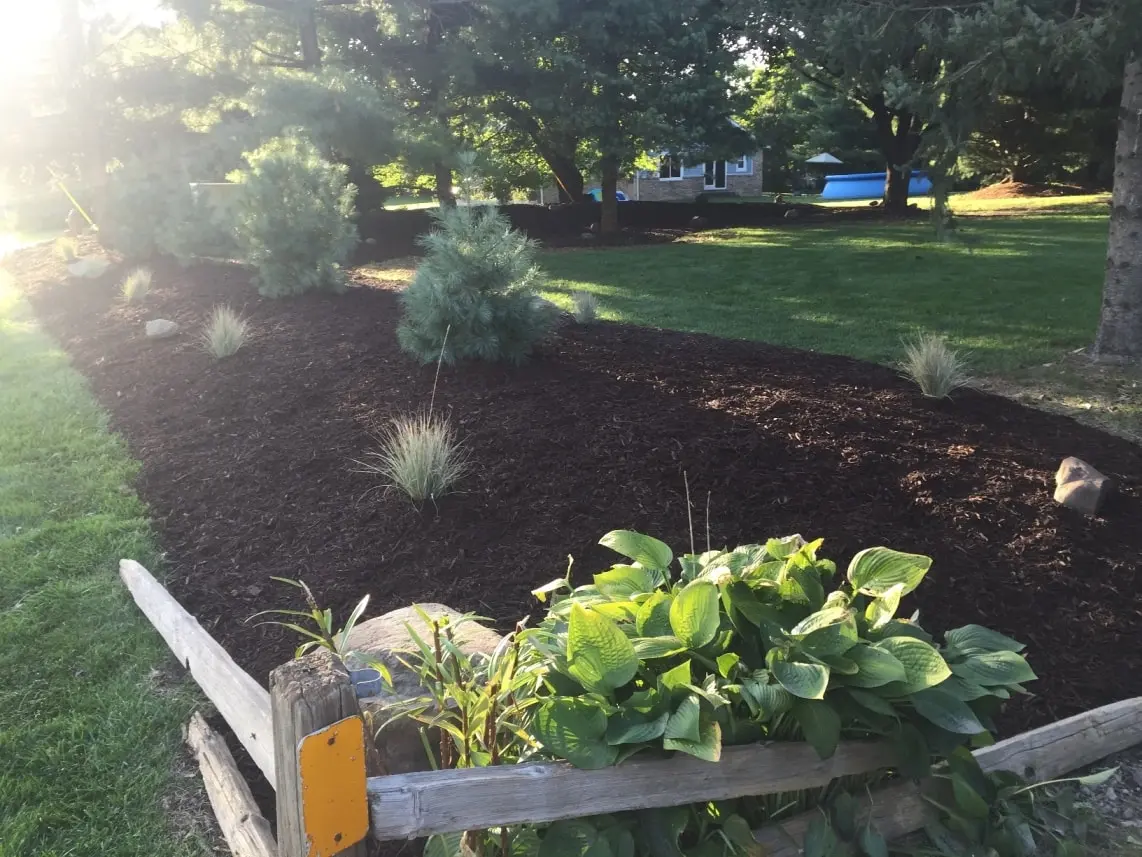 Landscaping photo 16