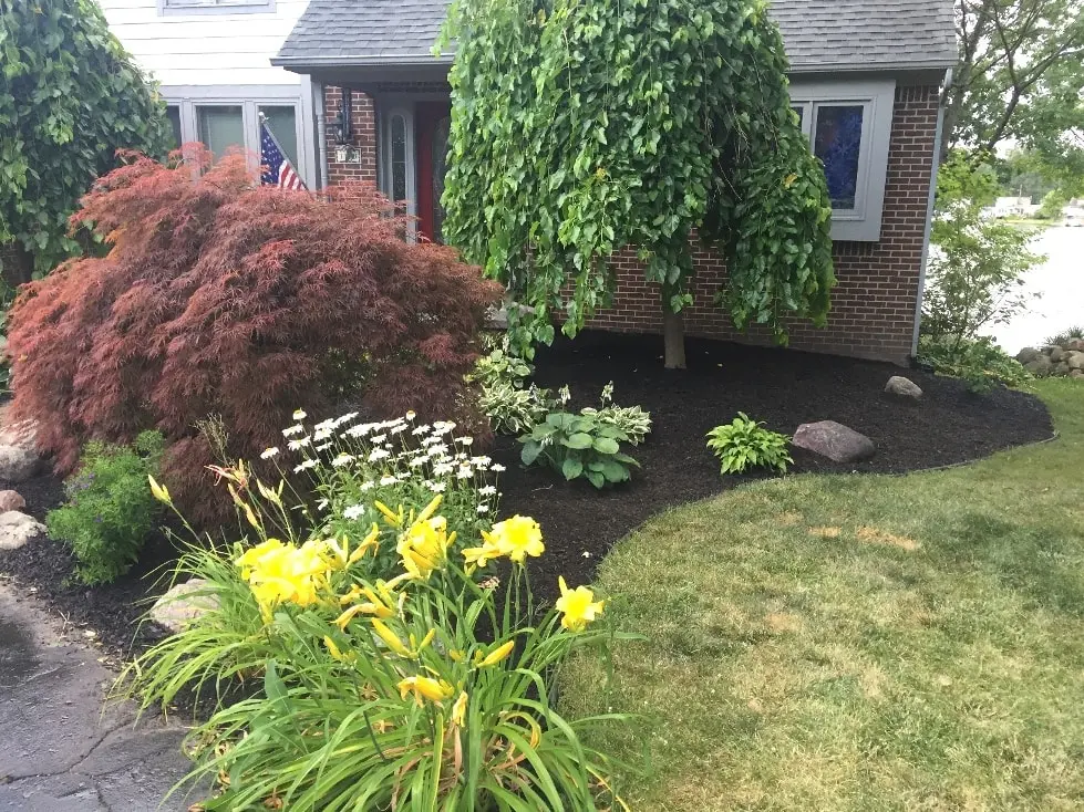 Landscaping photo 18